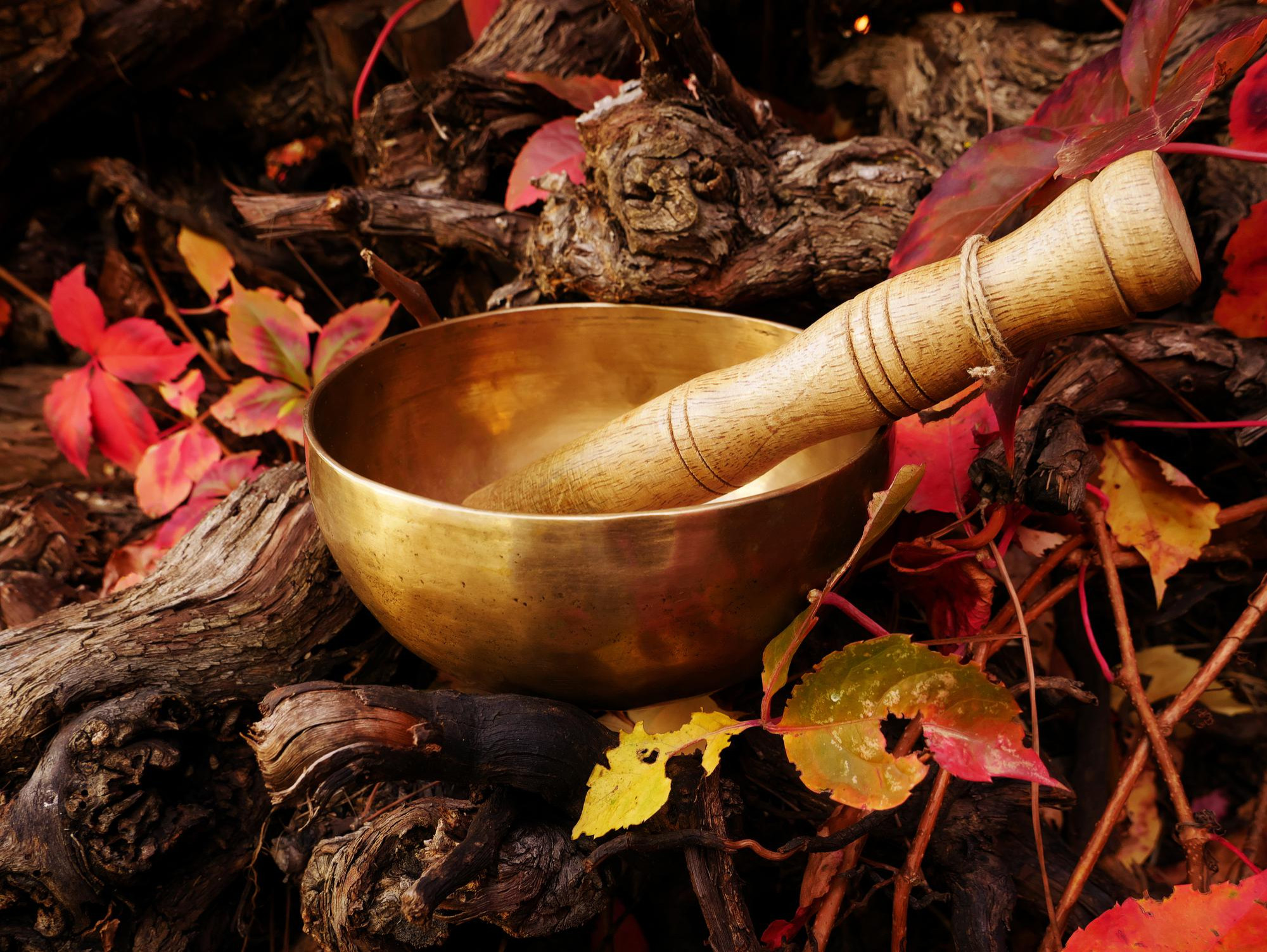 Shree Krishna Shahi Singing Bowls